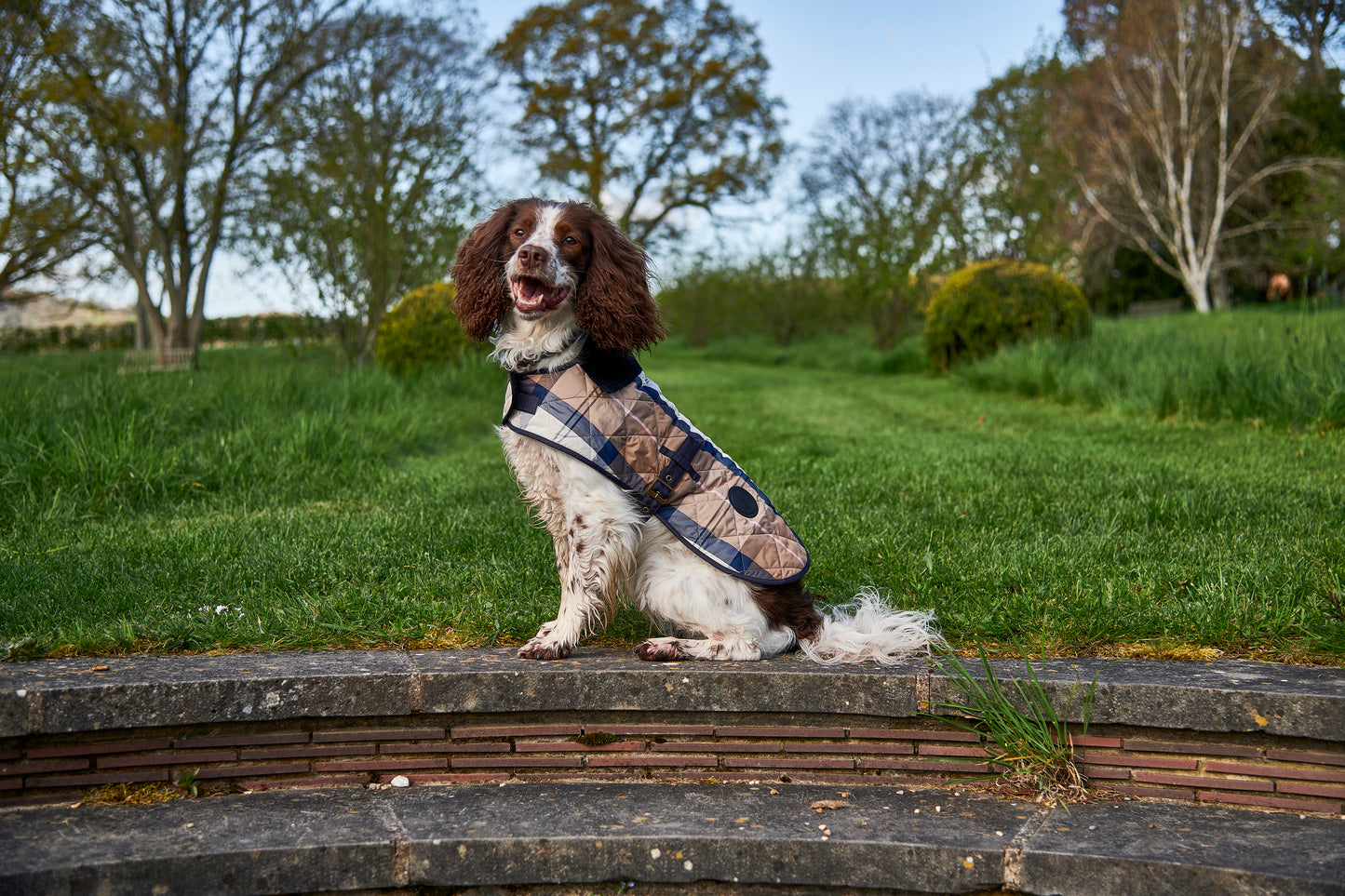 Tartan Dog Coat