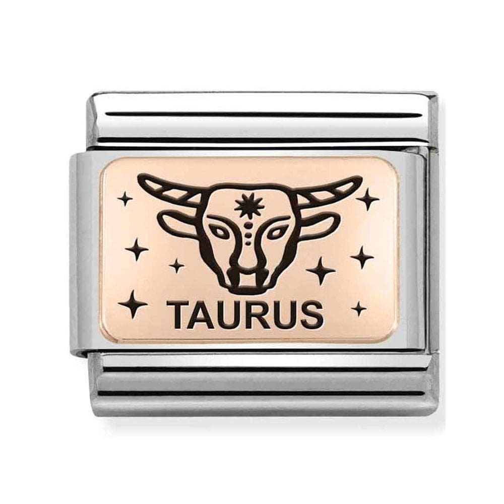 CLASSIC Composable Plates Taurus charm