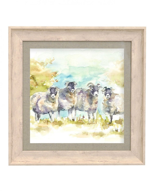 Sheep Herd Birch Frame 46x46