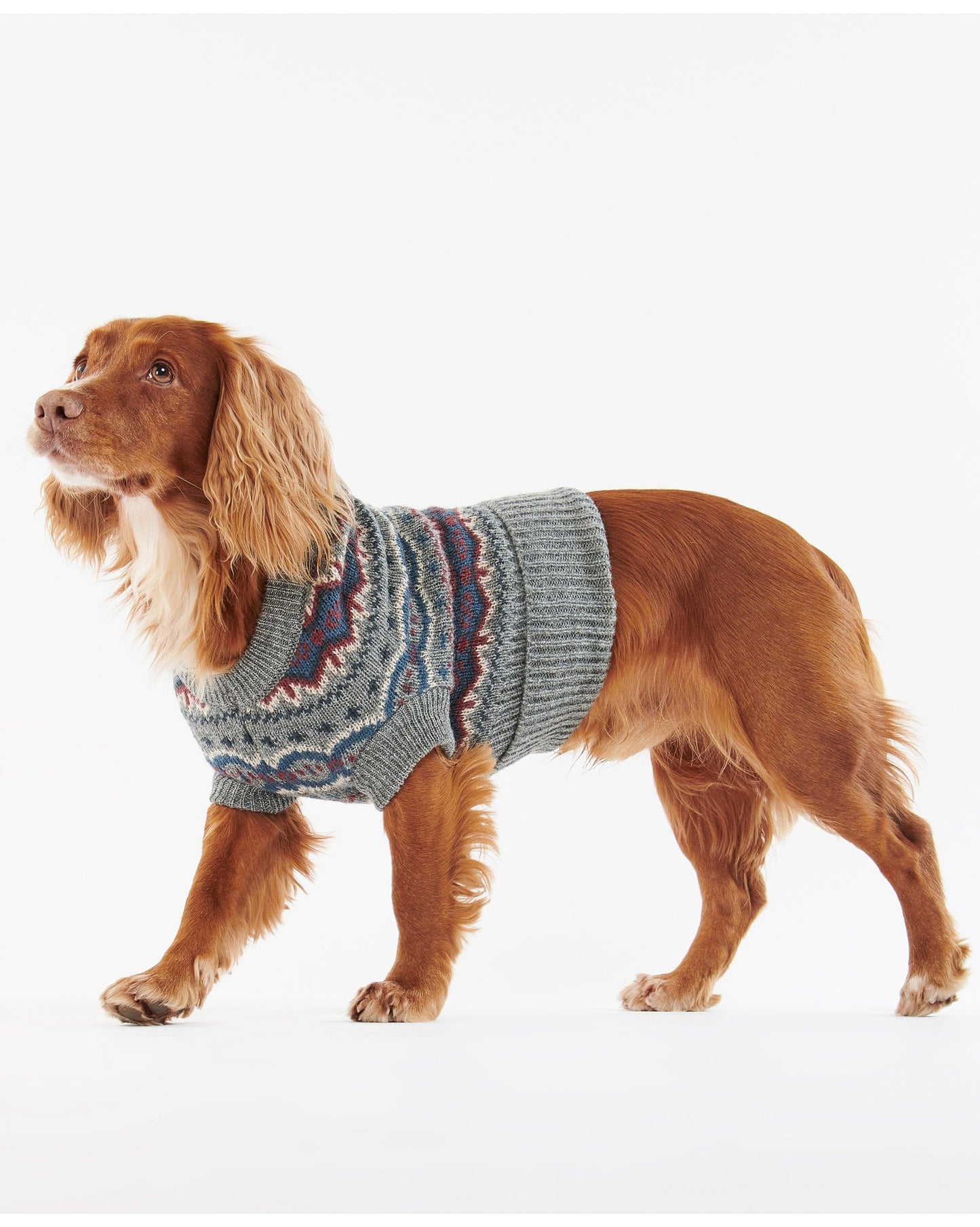 Case Fair Isle Dog Jumper