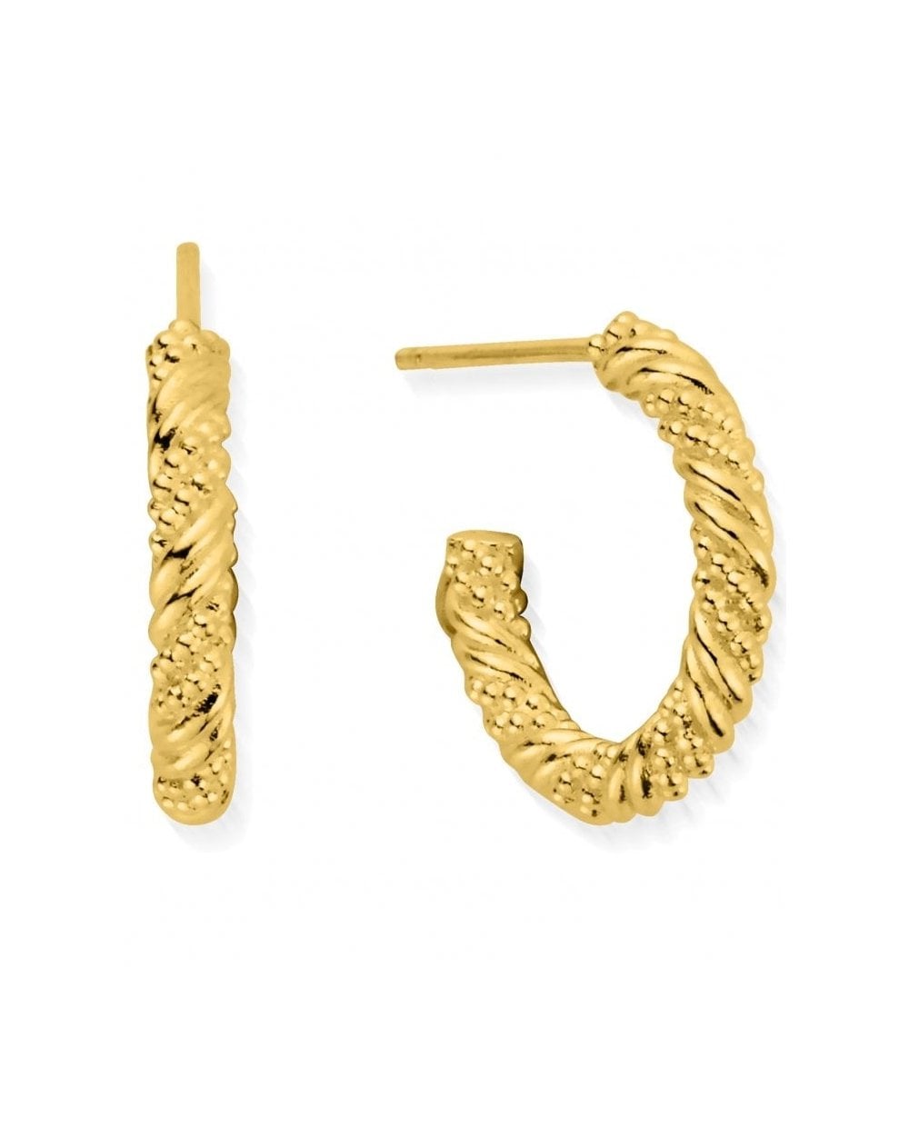 Gold Entwined Passion Hoops