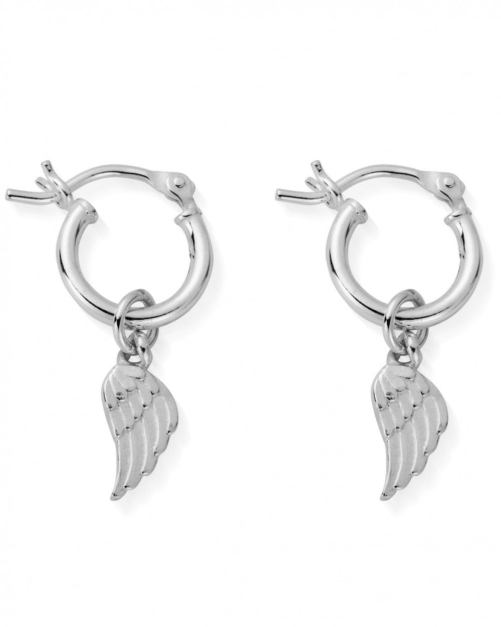 Divinity Within Hoops