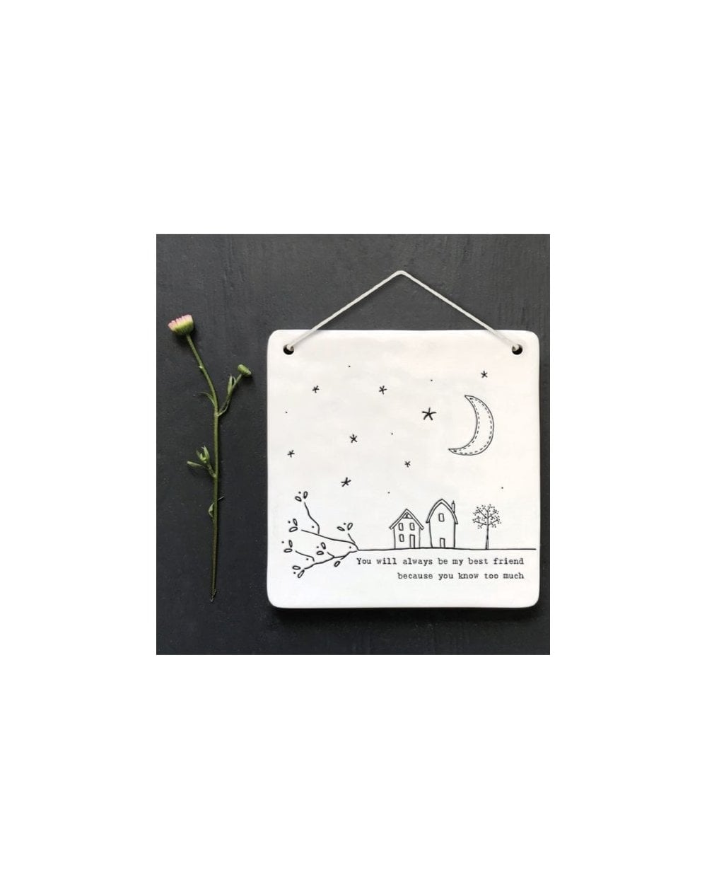 Porcelain Twig Pic - Always My Best Friend