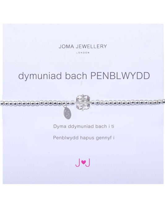 A Little Birthday Girl - Silver Bracelet - Welsh
