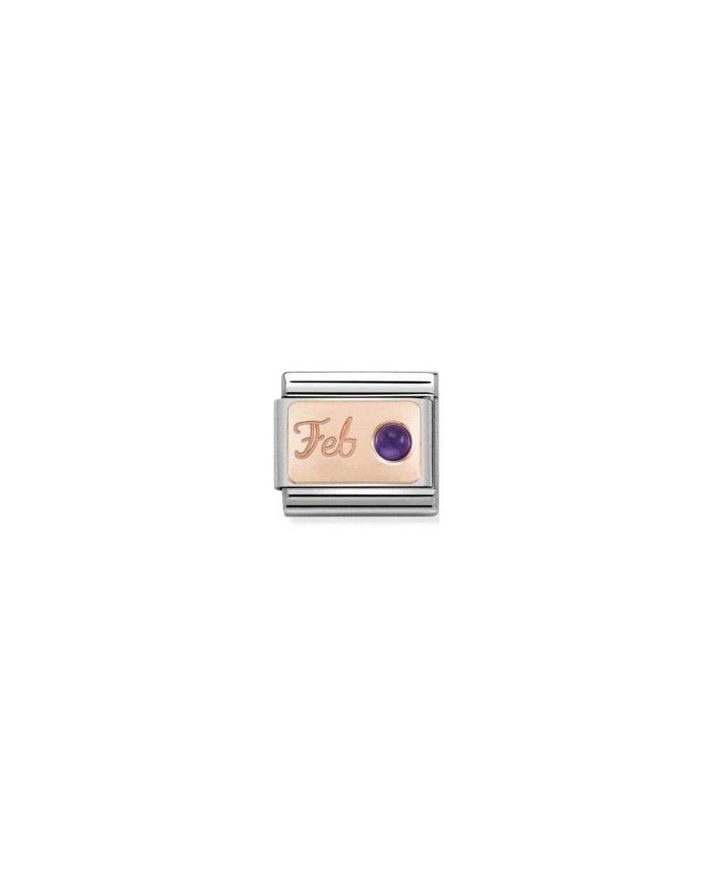 Composable Classic Stone Of Month In S, Steel And Gold 375 (02_February Amethyst)