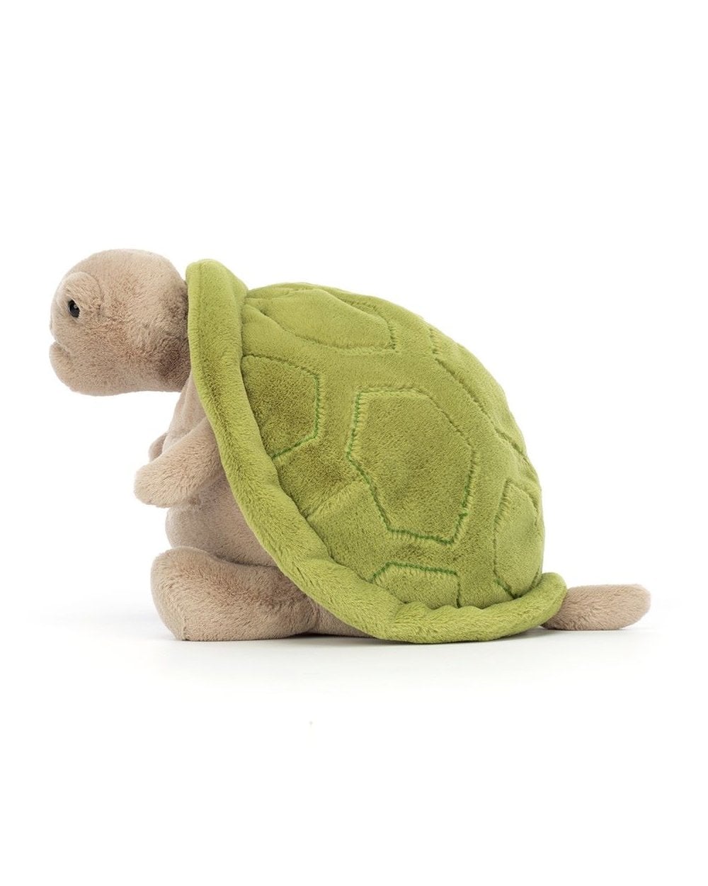 Timmy Turtle