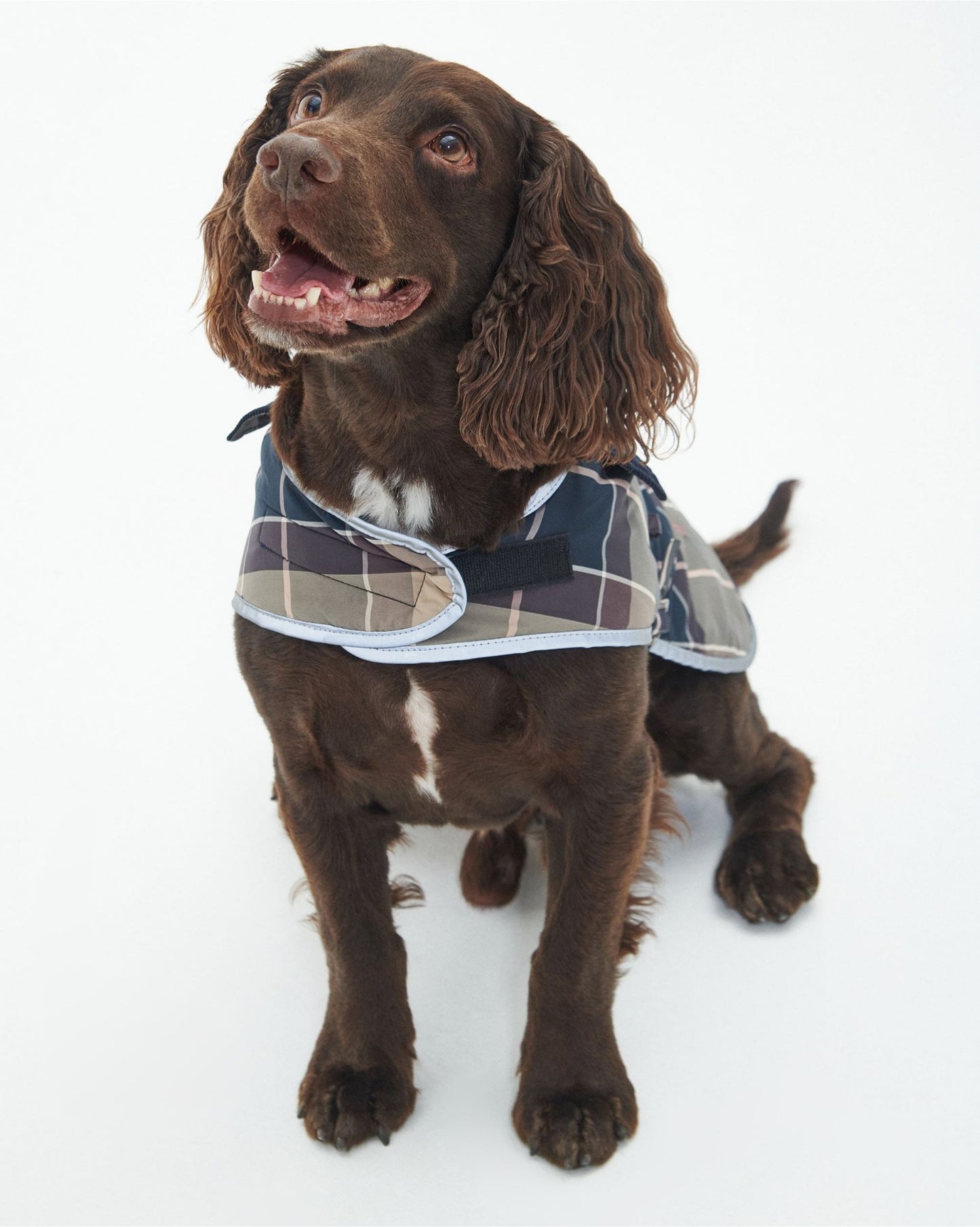 Barbour Wetherham Tartan Dog Coat