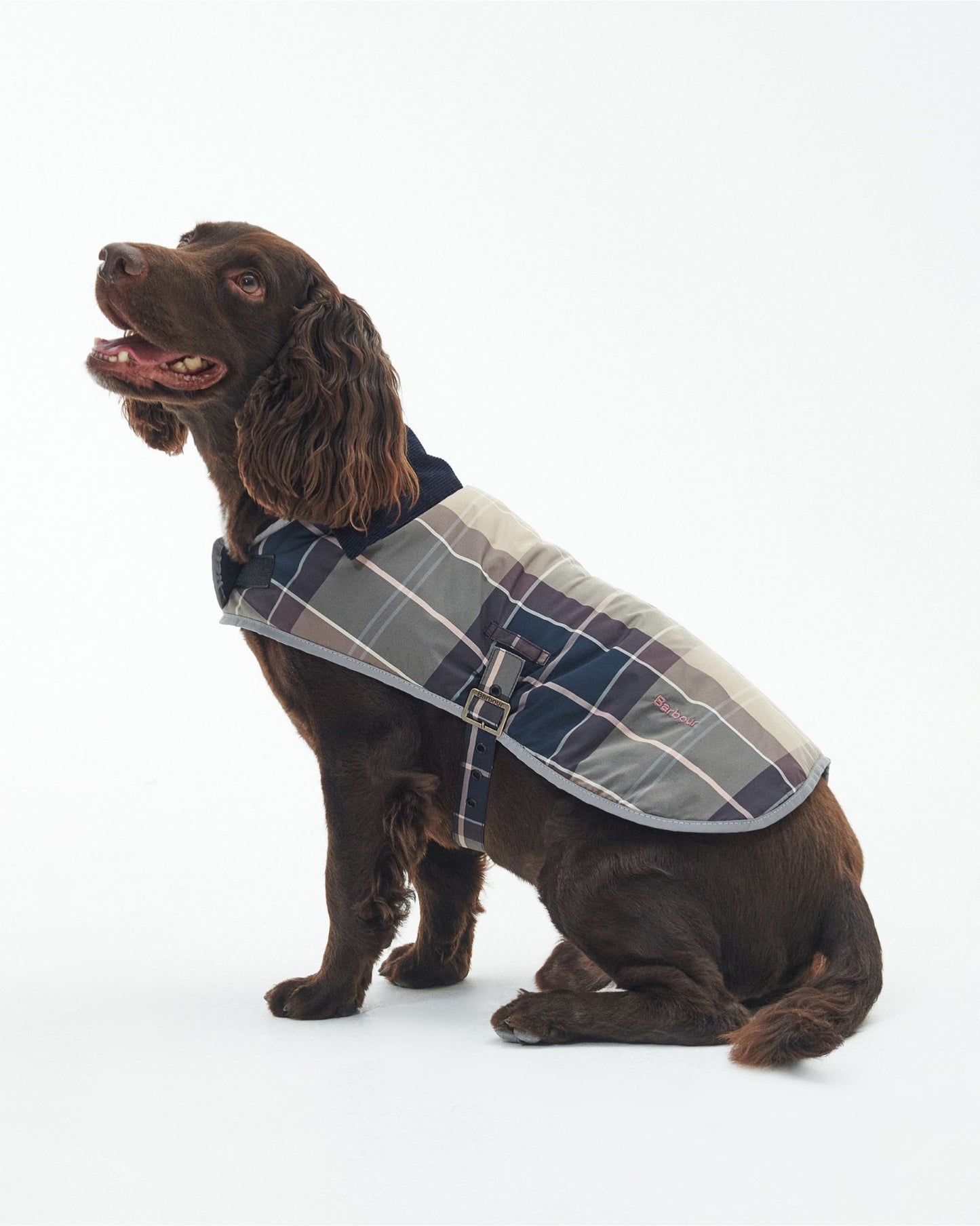 Barbour Wetherham Tartan Dog Coat