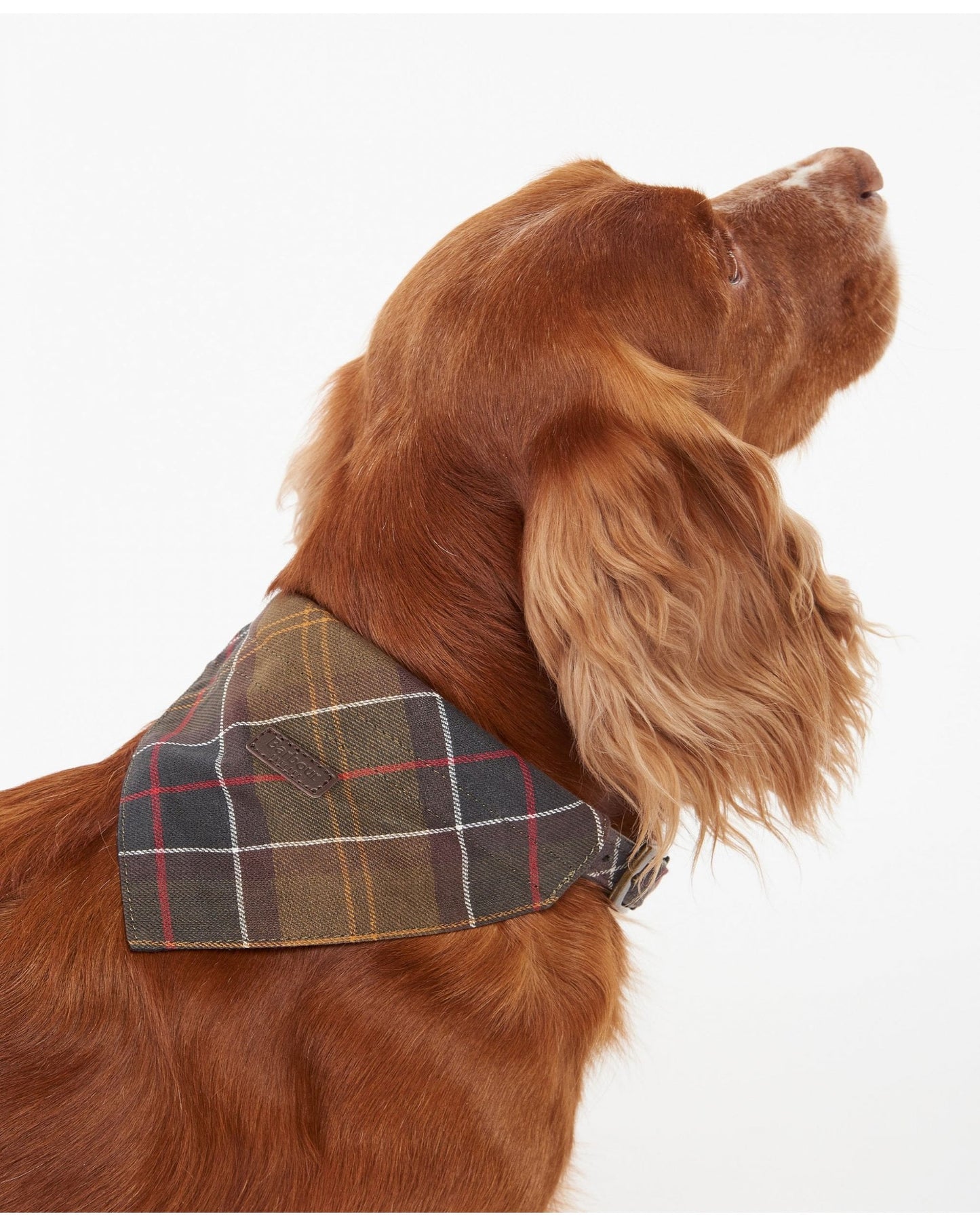 Barbour Tartan Dog Bandana