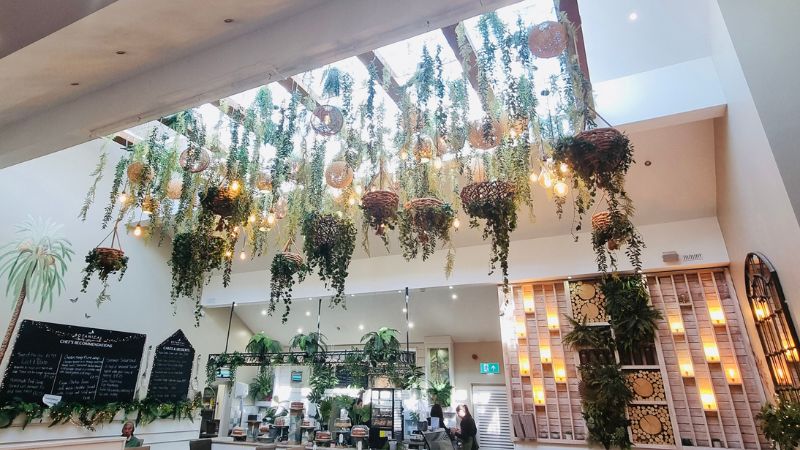 Discover Our Exciting New Food Menu at the Botanical Cafe