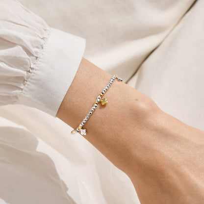 Sparkle Confetti A Little 'Friendship, Laughter, Happiness' Bracelet In Silver and Gold Plating