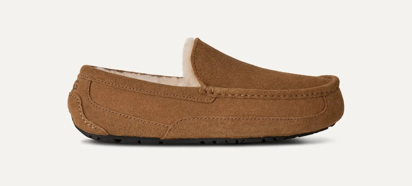 Ascot Slipper
