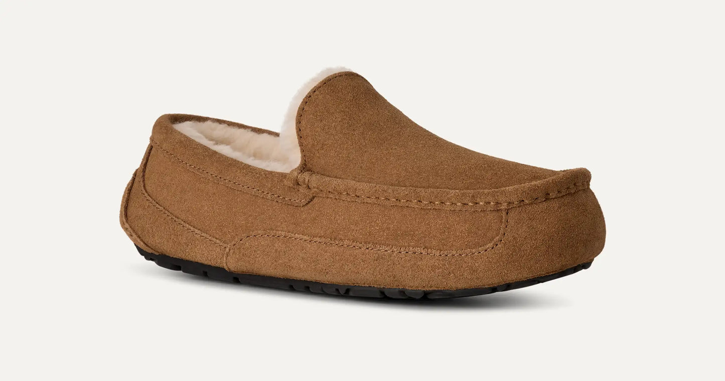 Ascot Slipper