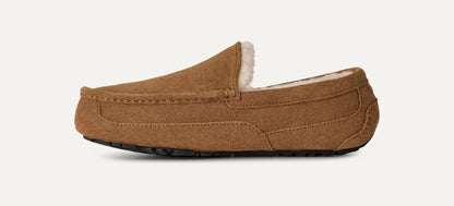 Ascot Slipper