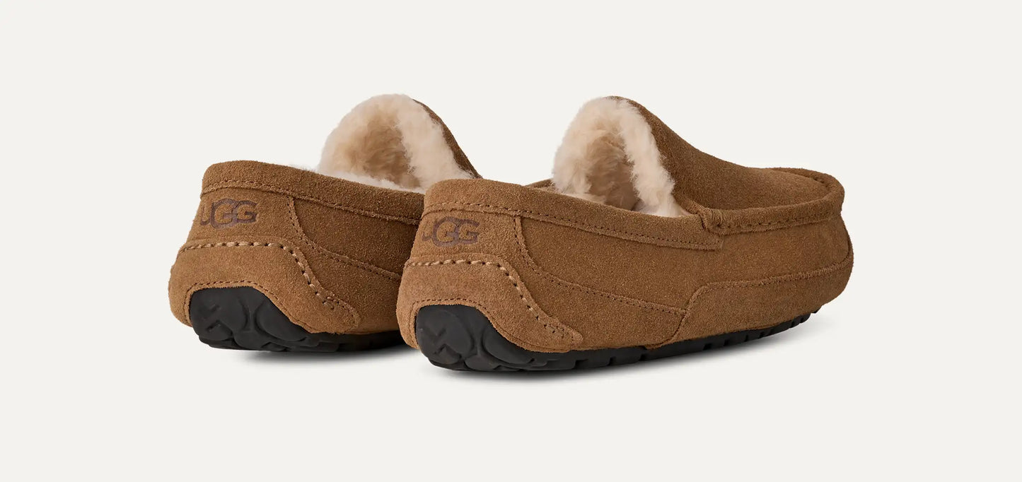 Ascot Slipper