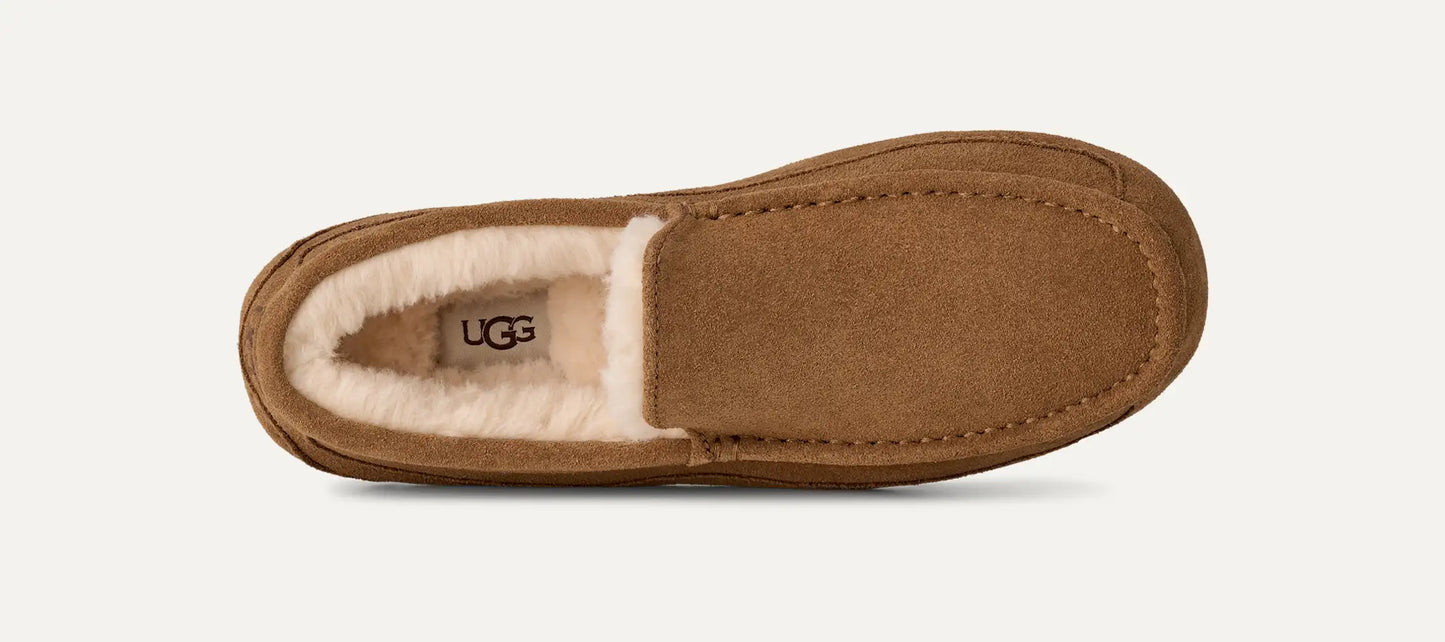 Ascot Slipper