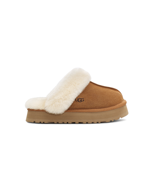 Disquette Slipper