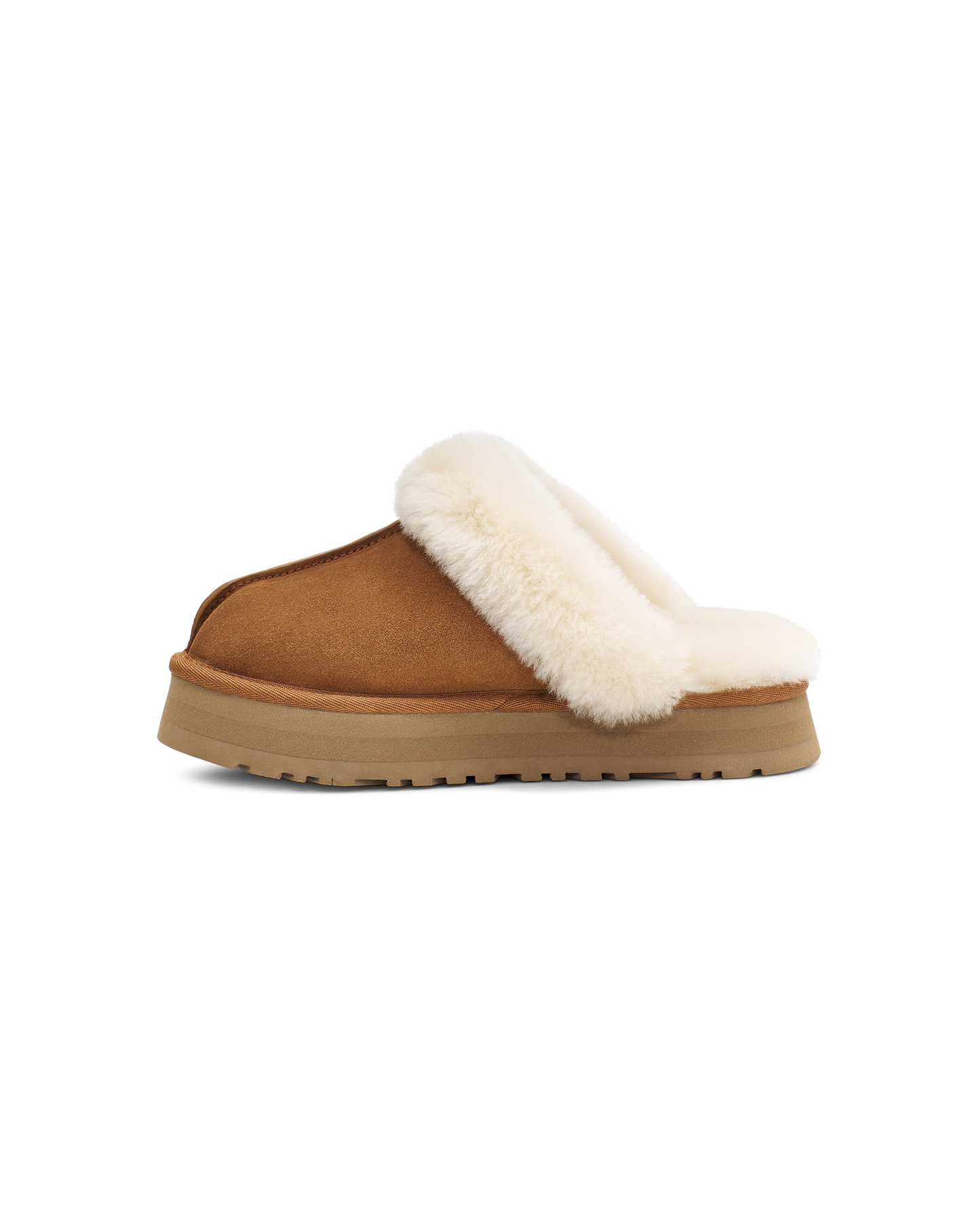 Disquette Slipper