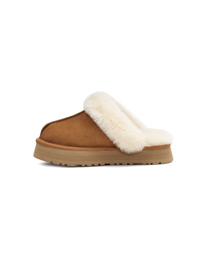 Disquette Slipper