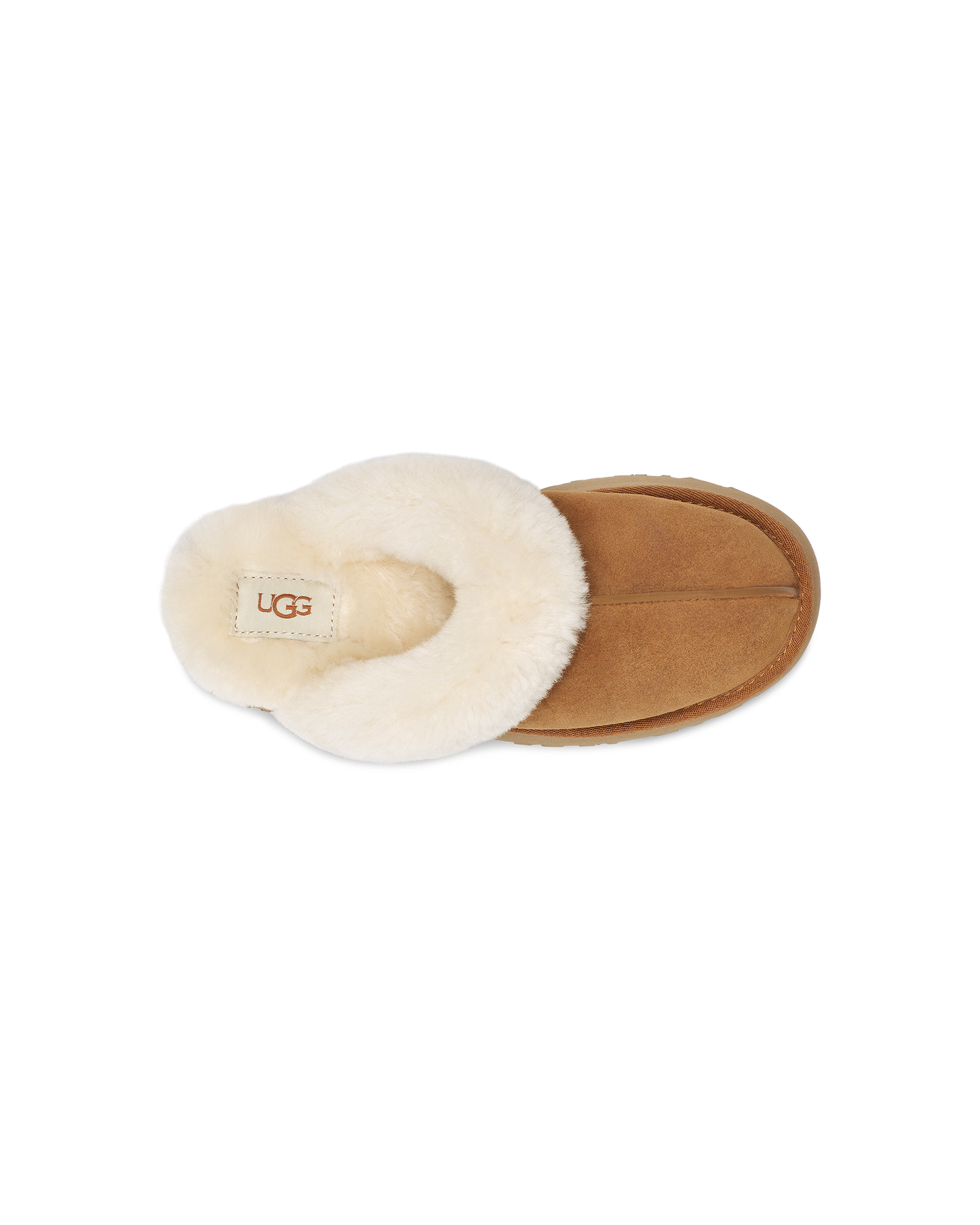 Disquette Slipper
