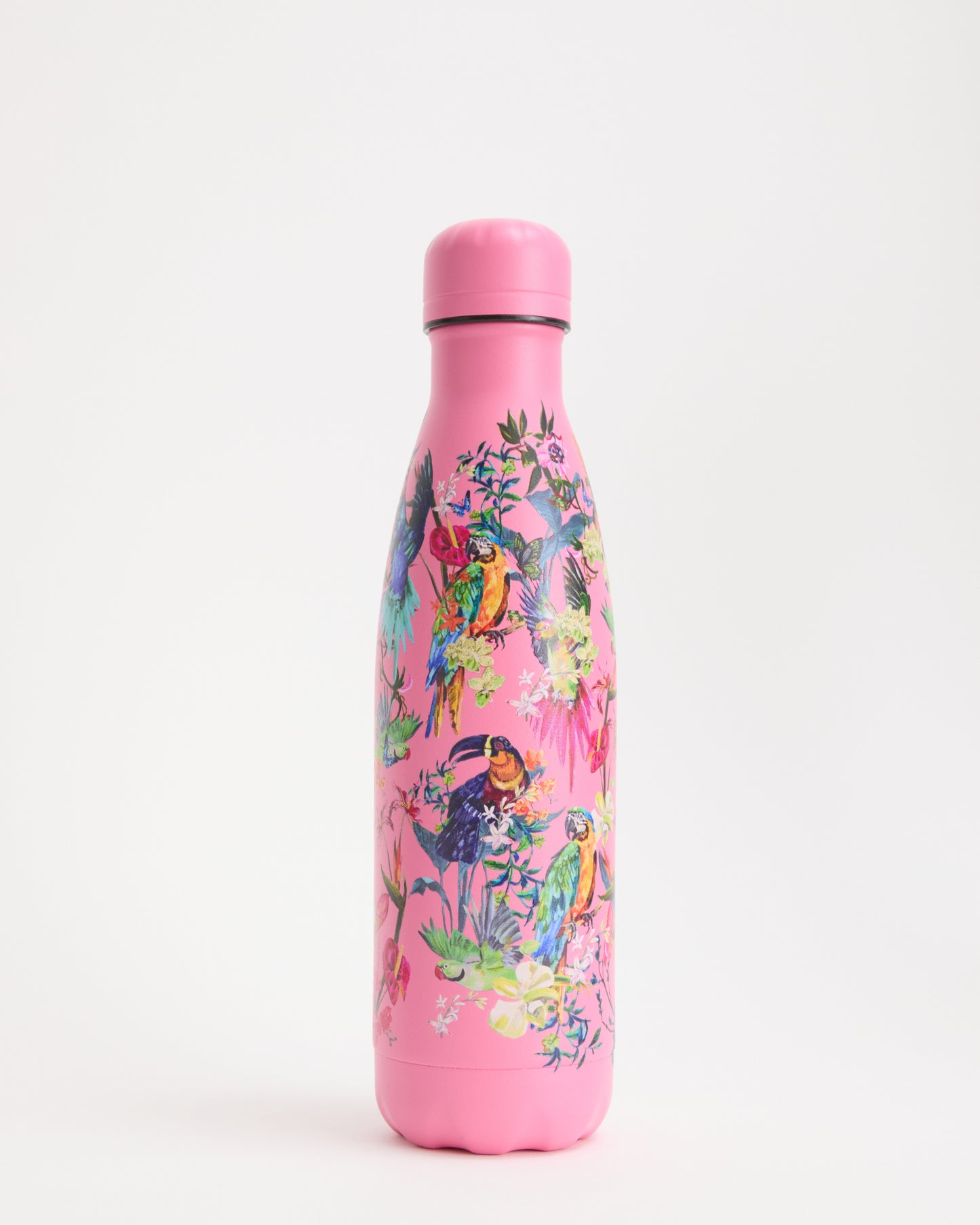 Original Macaw Madness Water Bottle 500ml