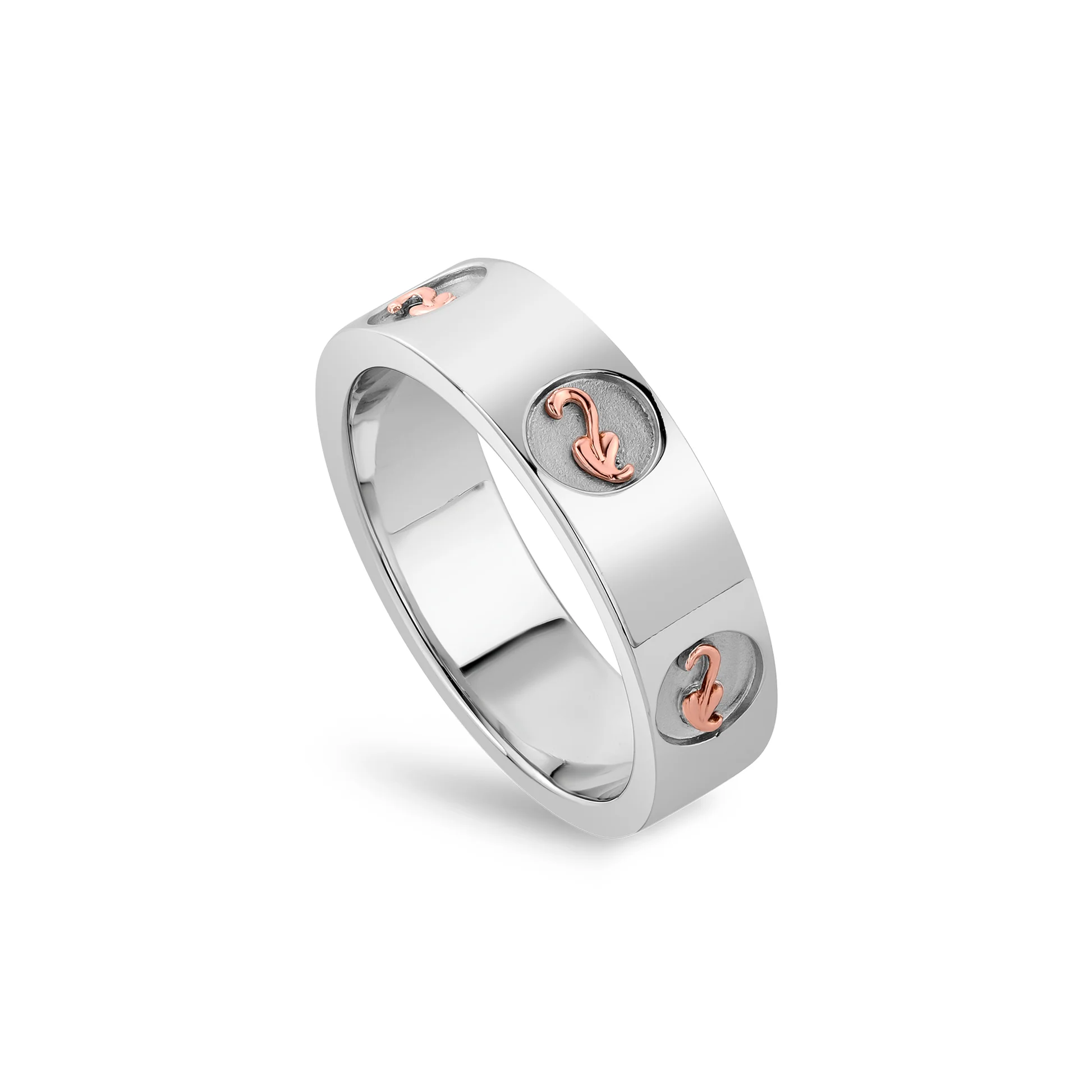 Insignia Sterling Silver Ring – Nicholls