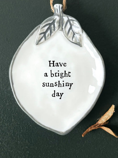 Hanging Lemon - Bright Sunshiny Day