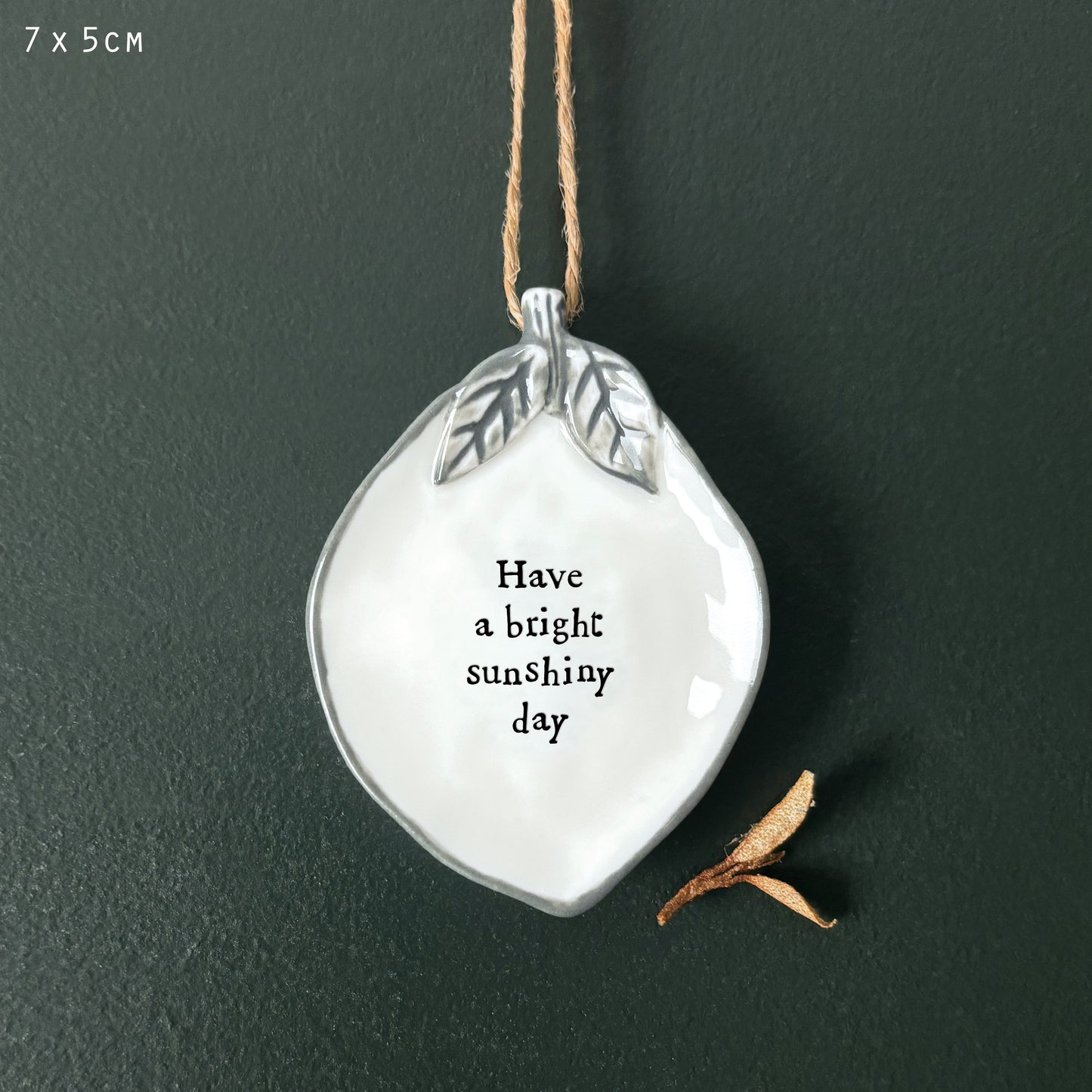Hanging Lemon - Bright Sunshiny Day