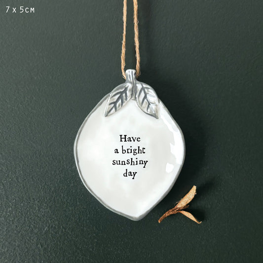 Hanging Lemon - Bright Sunshiny Day