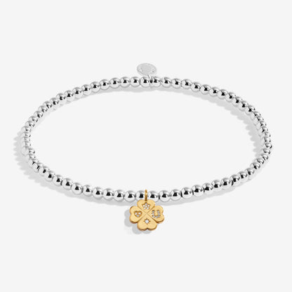 A LITTLE LUCKY CHARM BRACELET