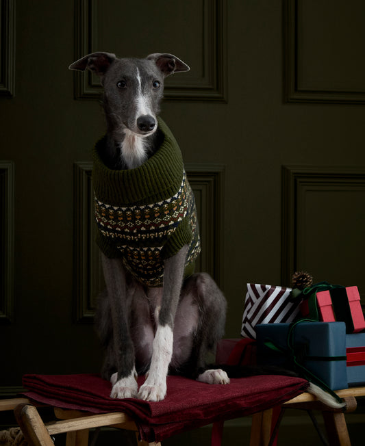 Marlow Fair Isle Dog Jumper