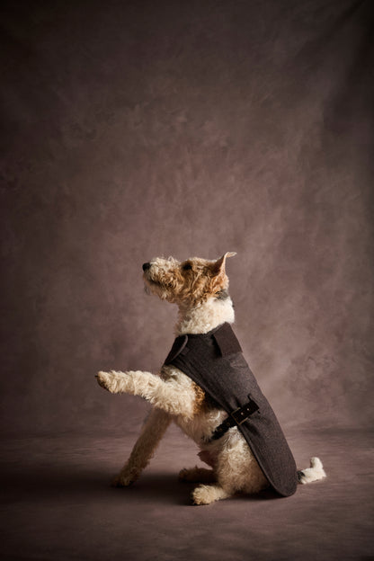 Barlow Dog Coat