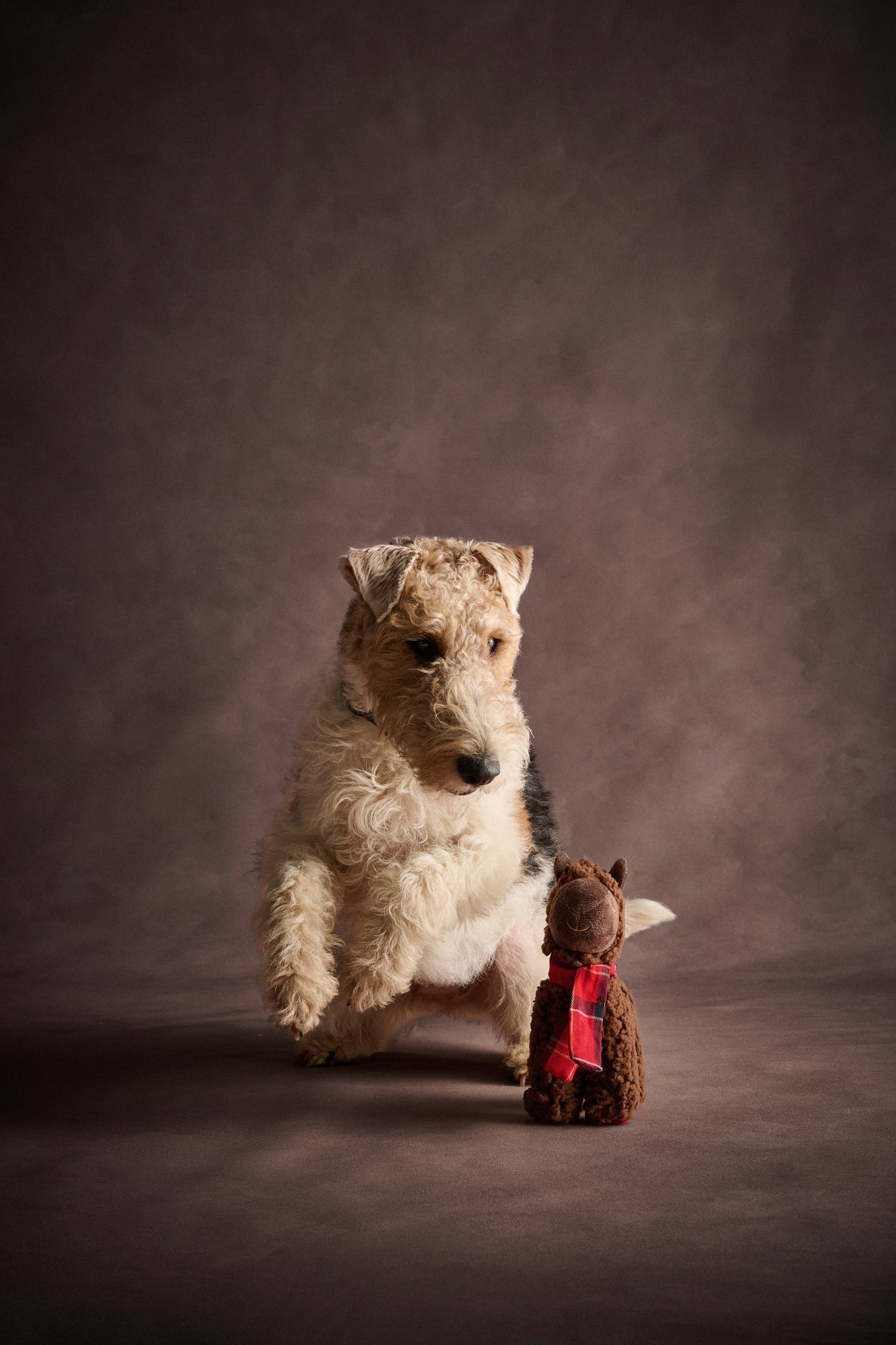 Llama Dog Toy