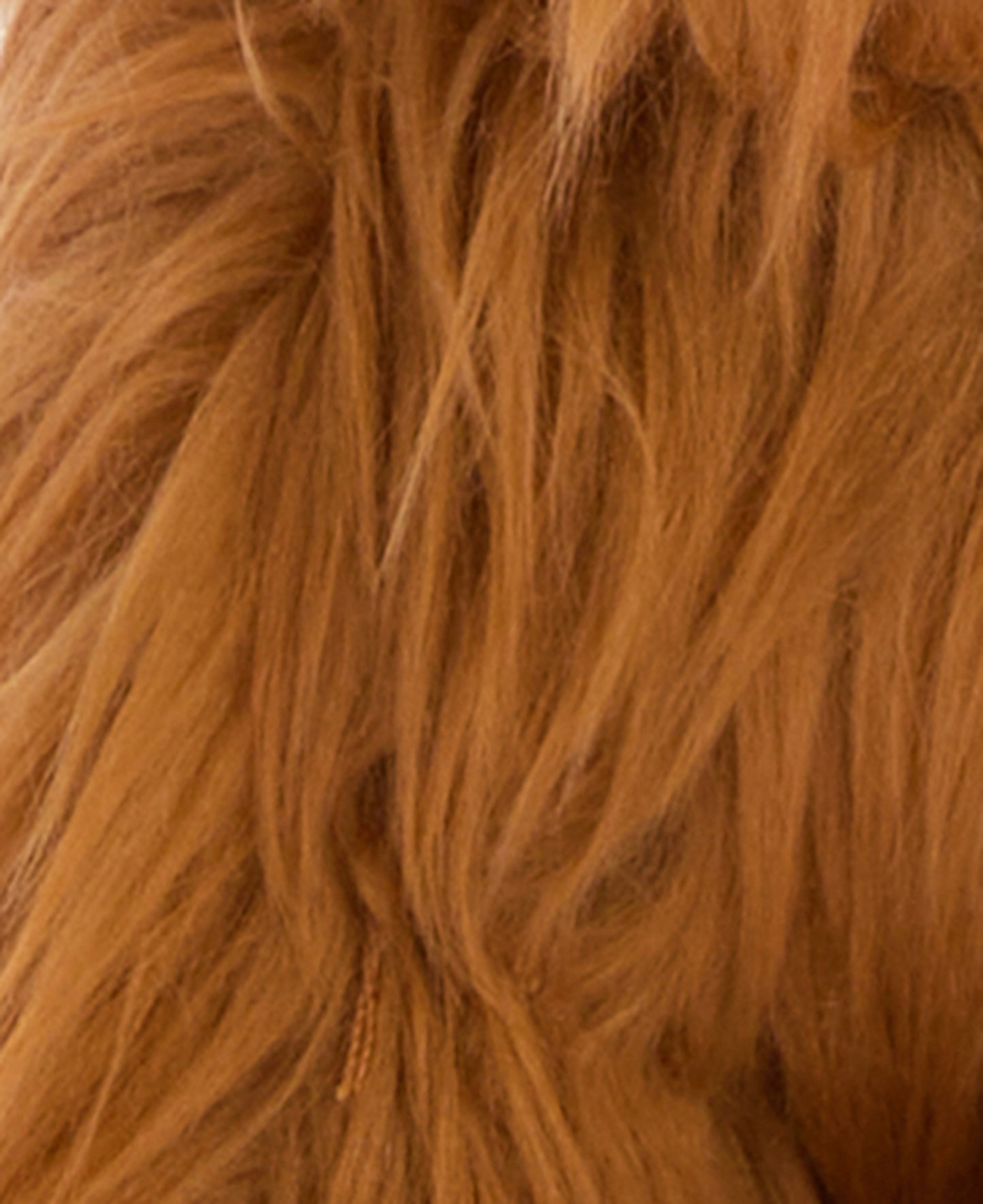 Dog Highland Cow Toy