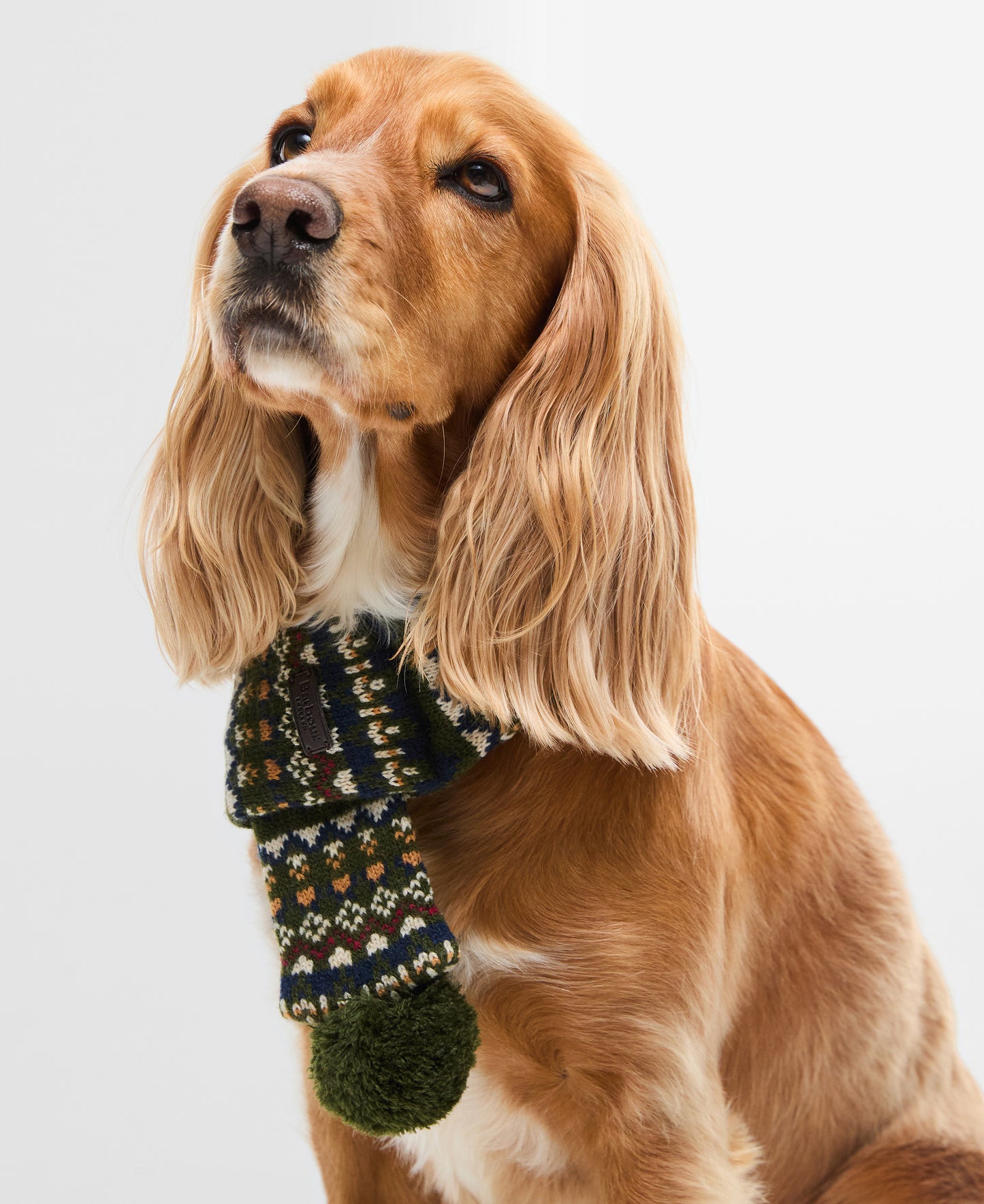 Marlow Fair Isle Dog Scarf