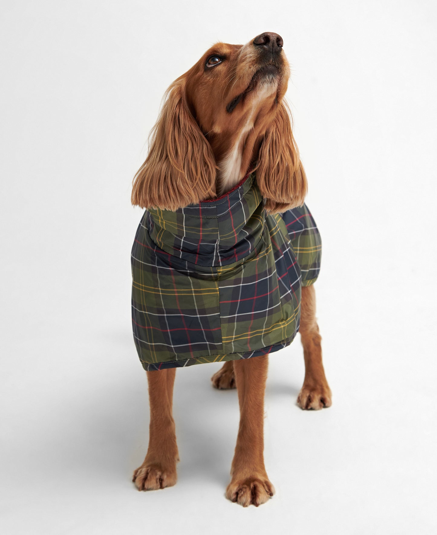 Tartan Dog Drying Robe