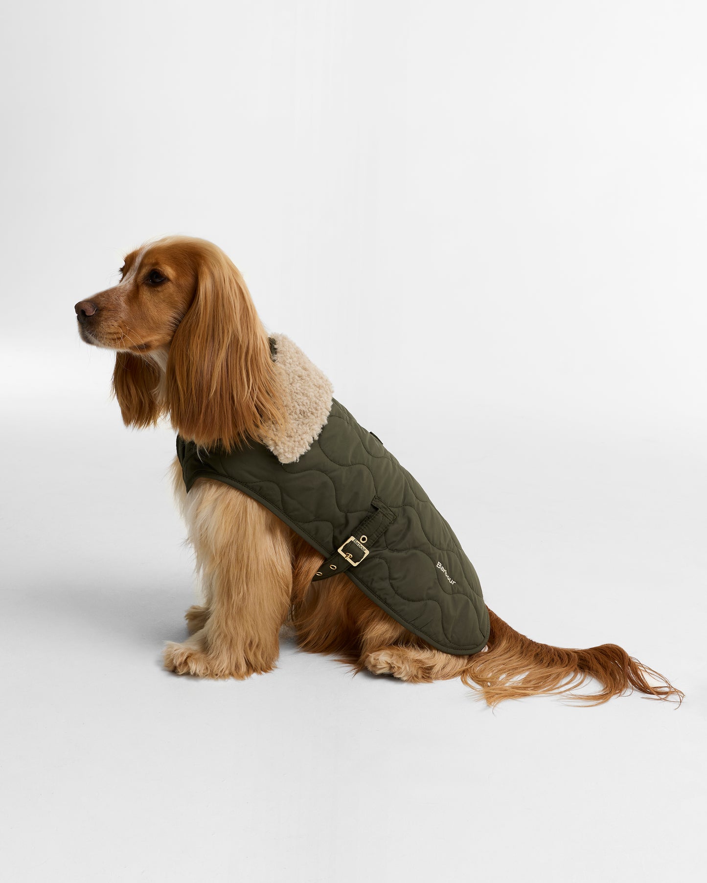Beith Dog Coat