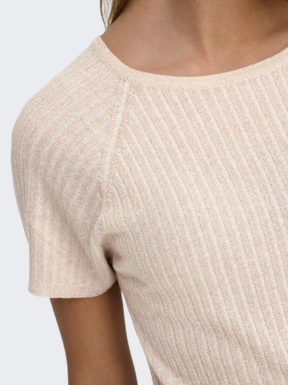 Glitter Pullover Knit