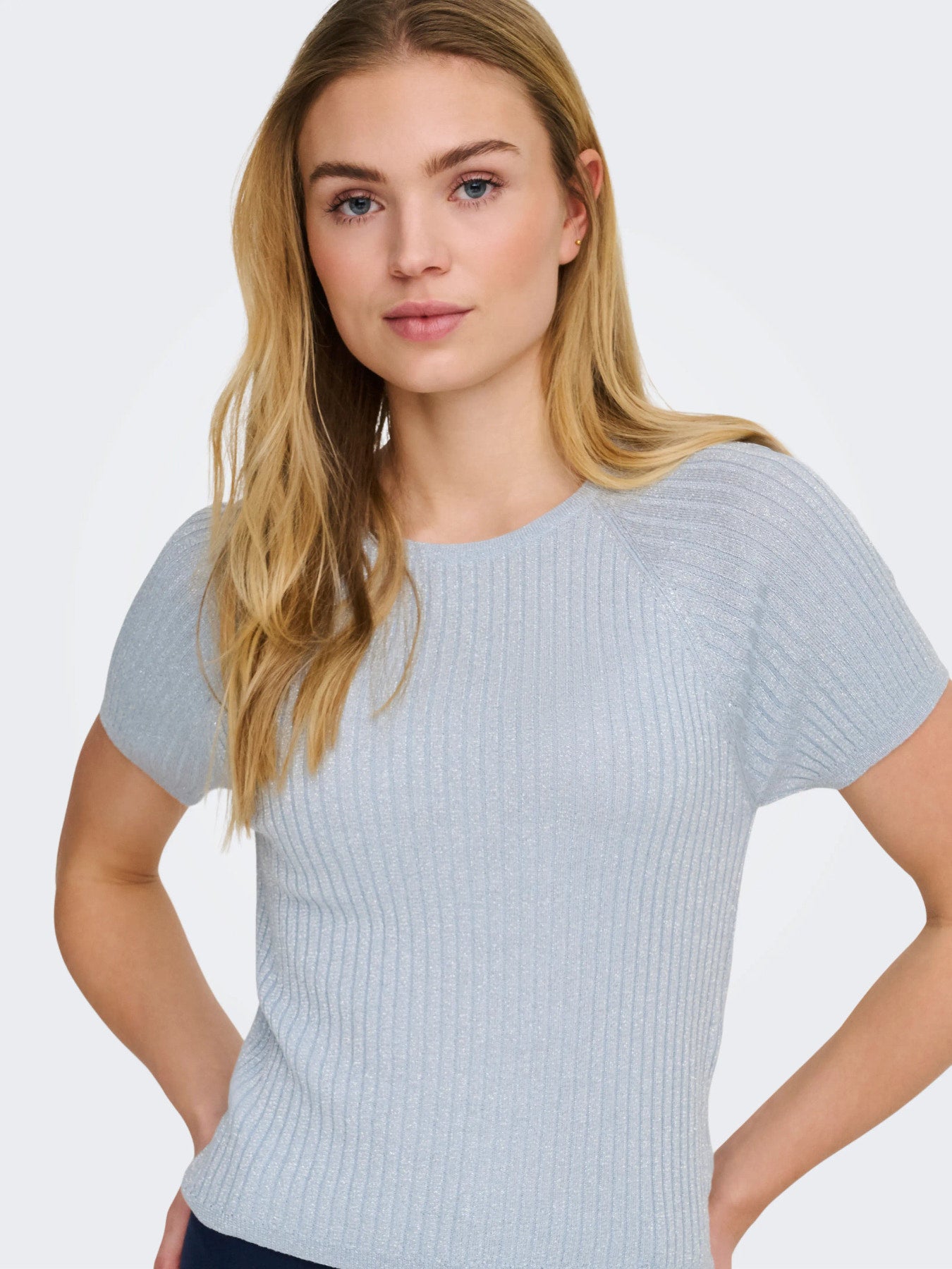 Glitter Pullover Knit