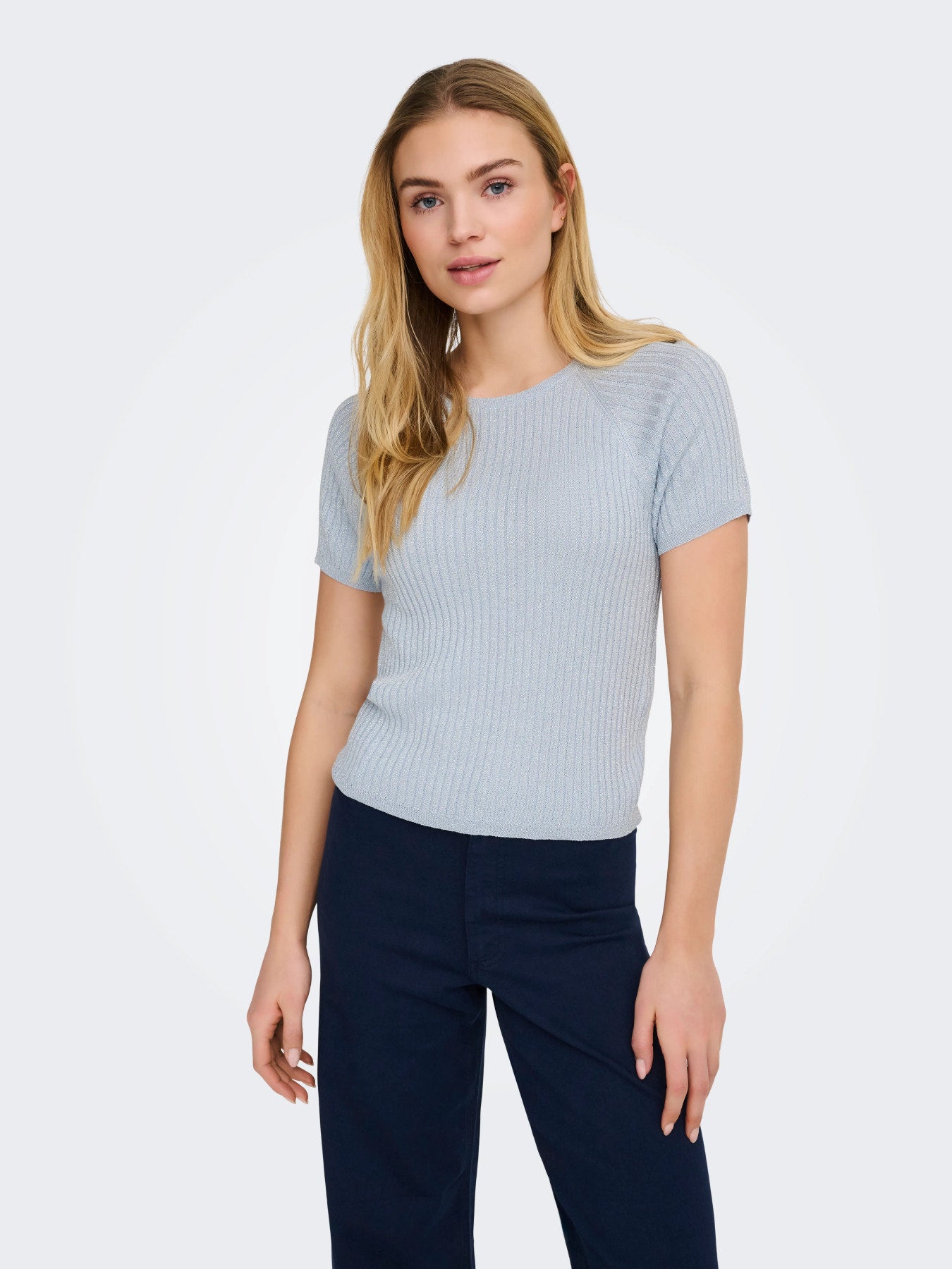 Glitter Pullover Knit