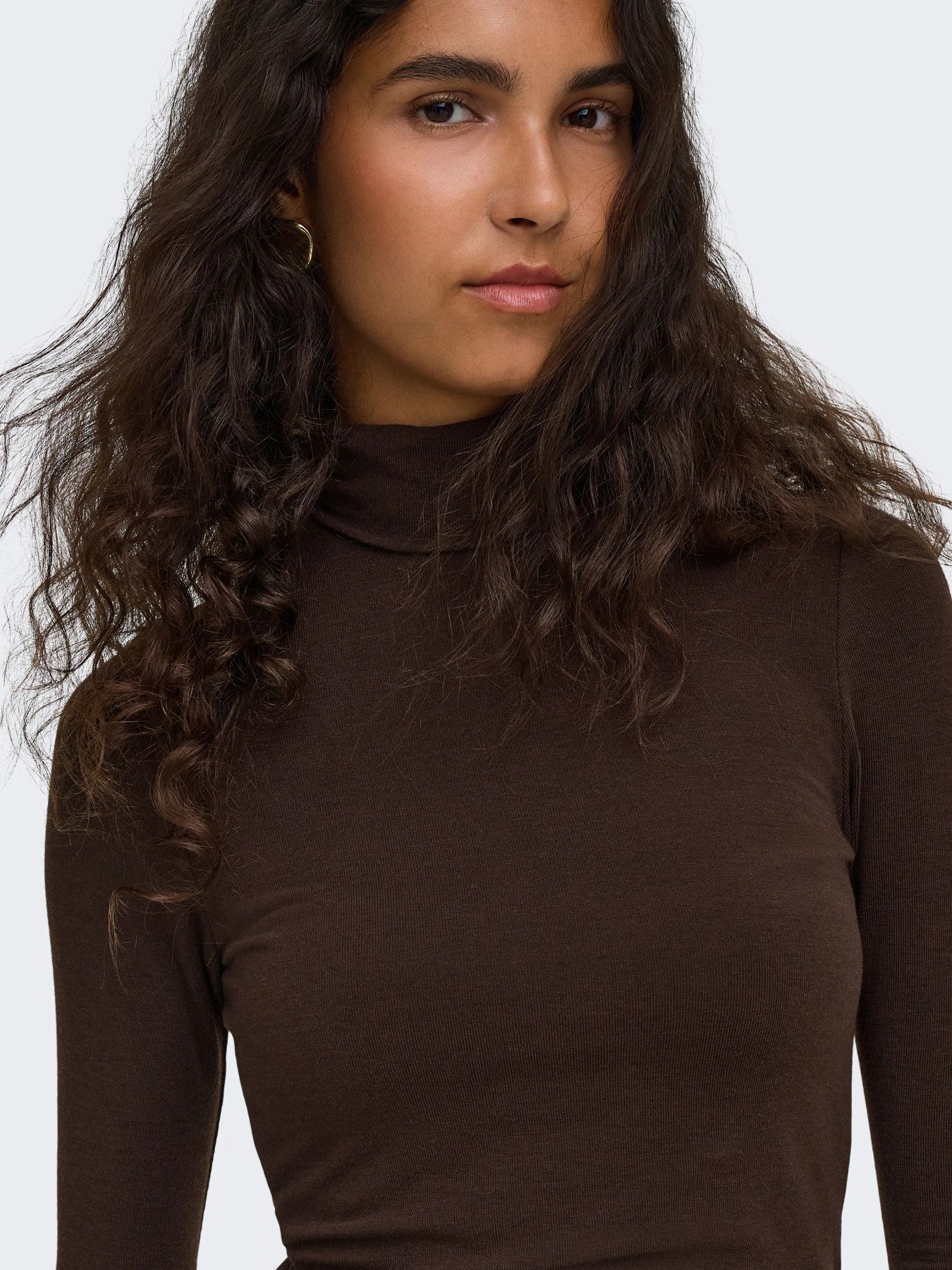 Glamour Long Sleeve Roll Neck Top