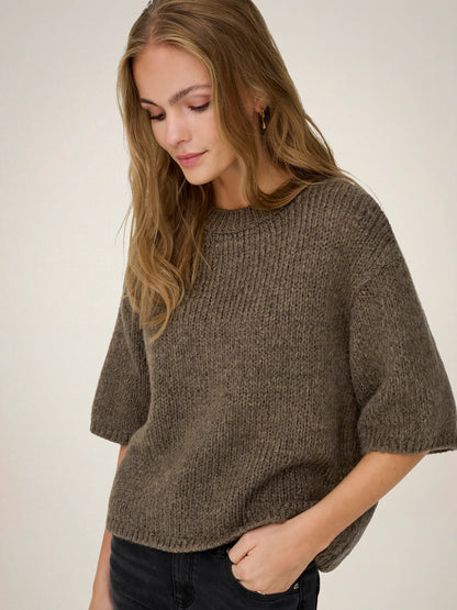 Dicte Short Sleeve Knit Pullover