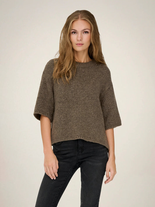 Dicte Short Sleeve Knit Pullover