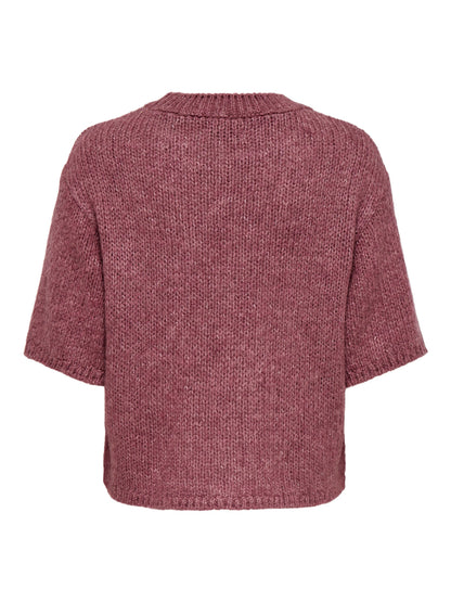 Dicte Short Sleeve Knit Pullover