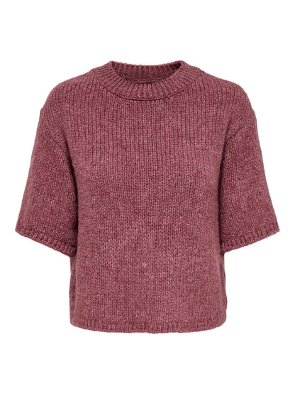 Dicte Short Sleeve Knit Pullover