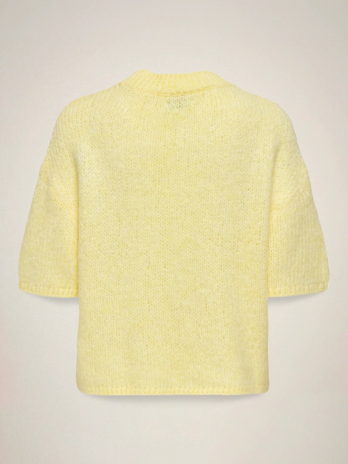 Dicte Short Sleeve Knit Pullover