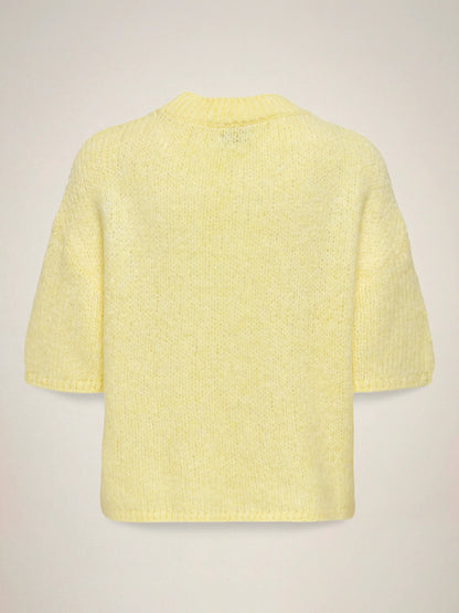 Dicte Short Sleeve Knit Pullover