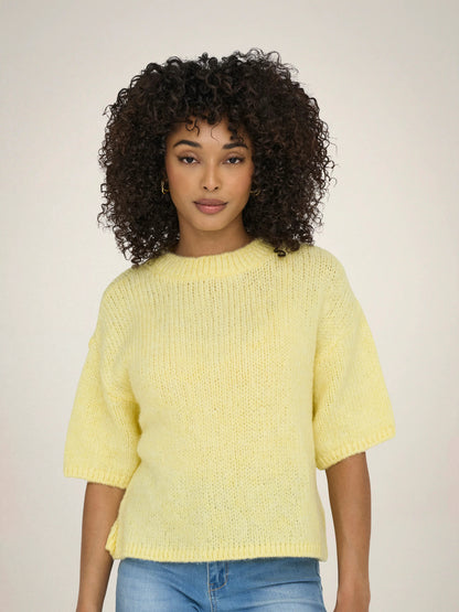 Dicte Short Sleeve Knit Pullover
