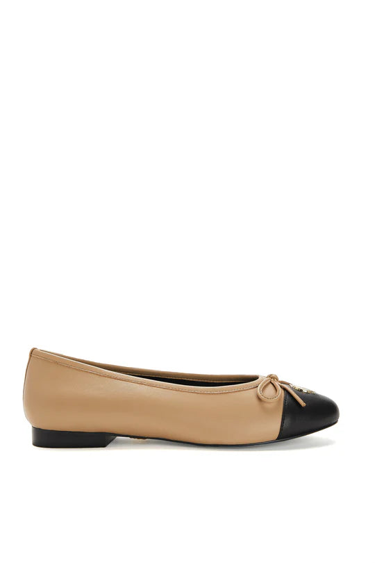 Ballet Shoe