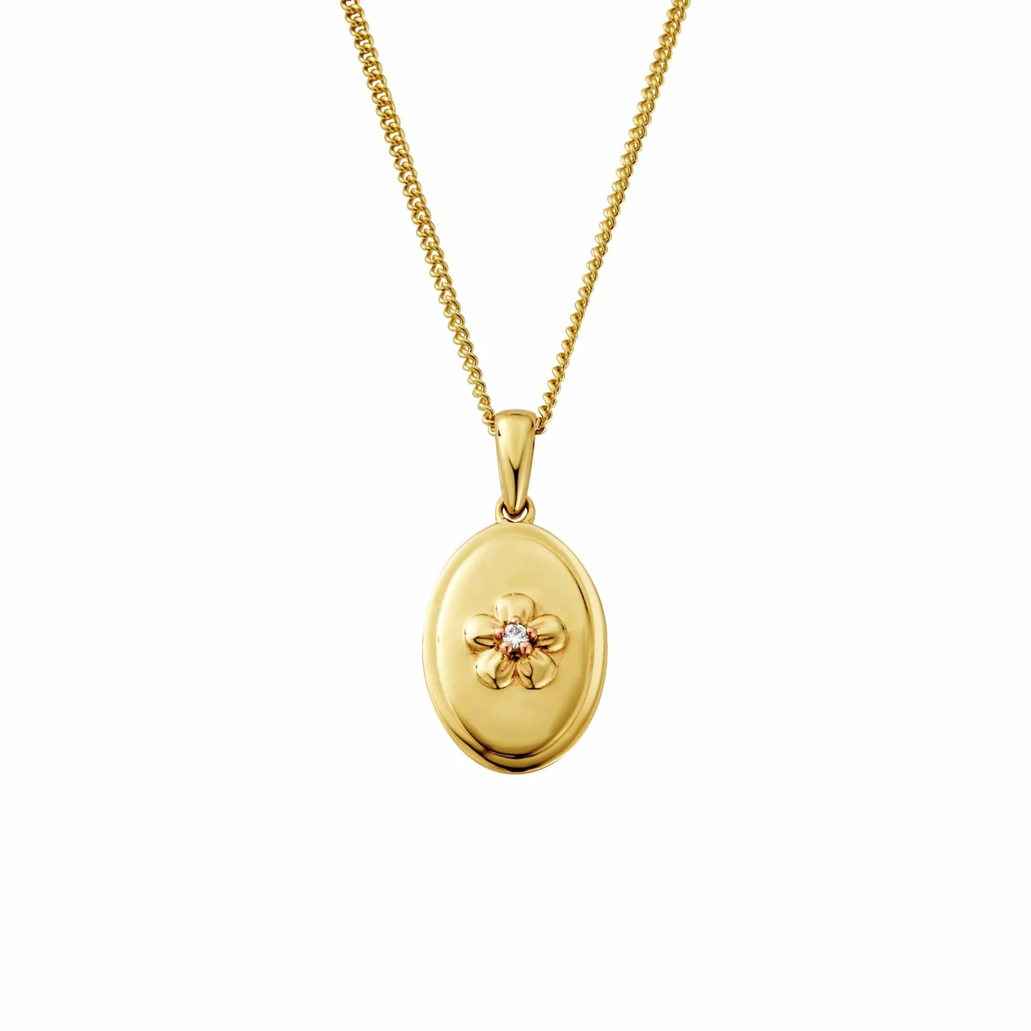 Nature's Wonder 9ct Solid Gold Forget-Me-Not Pendant with Diamond